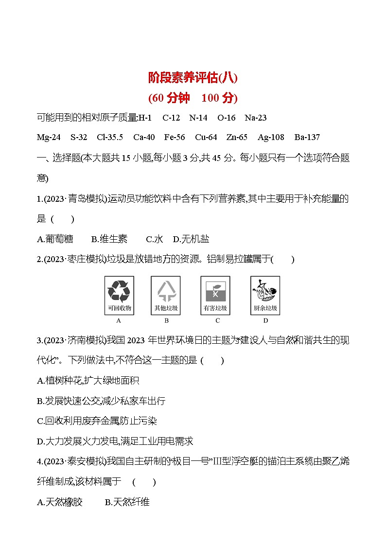 2023-2024 人教版化学 山东中考一轮复习 阶段素养评估(八) 试卷（学生版）第1页