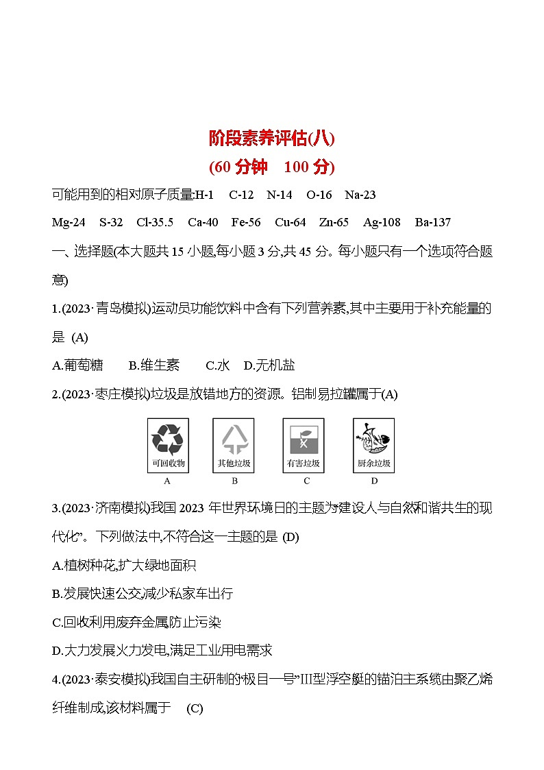 2023-2024 人教版化学 山东中考一轮复习 阶段素养评估(八) 试卷（教师版）第1页
