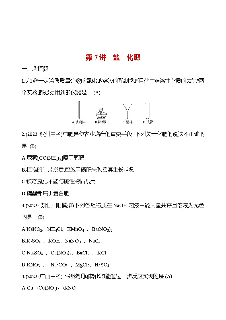 2023-2024 人教版化学 贵州中考一轮复习 板块一 第7讲　盐　化肥 提高练习01