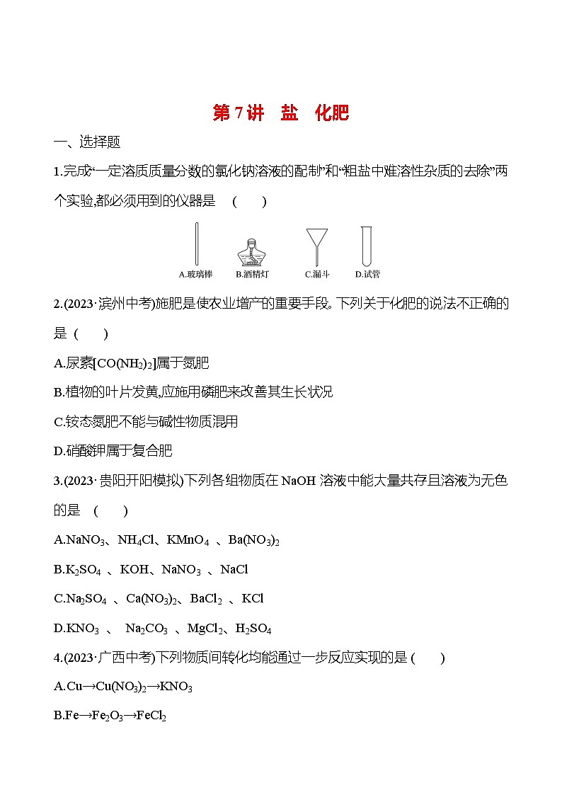 2023-2024 人教版化学 贵州中考一轮复习 板块一 第7讲　盐　化肥 提高练习01