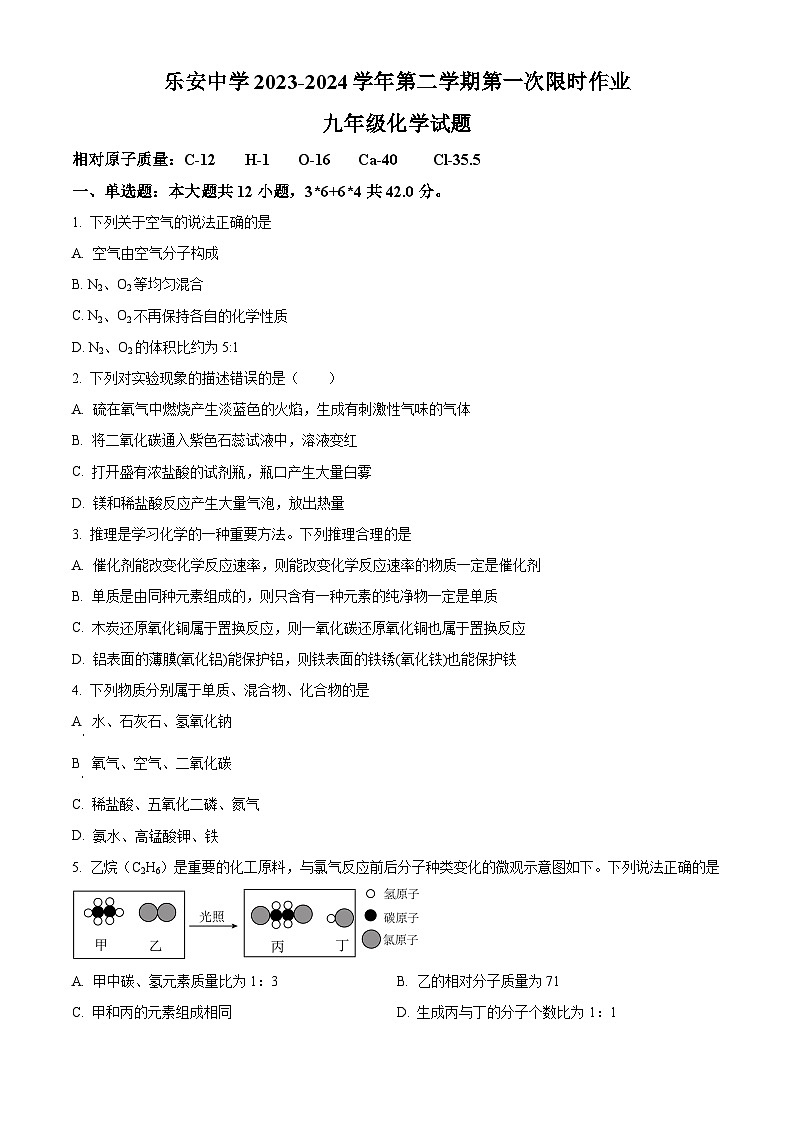 精品解析：山东省东营市广饶县乐安街道乐安中学2023-2024学年九年级下学期3月月考化学试题（原卷版）第1页