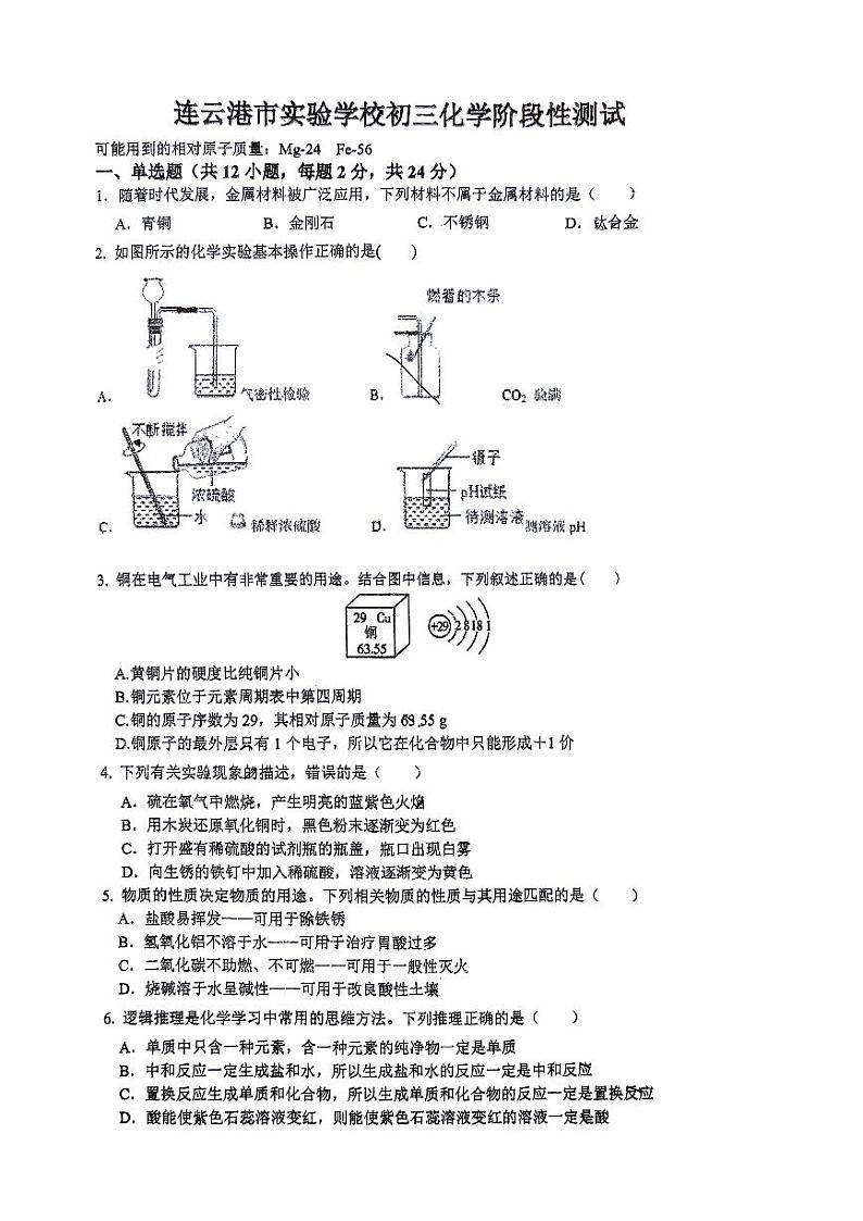 江苏省连云港市实验学校2023-2024学年九年级下学期第一次月考化学试卷01