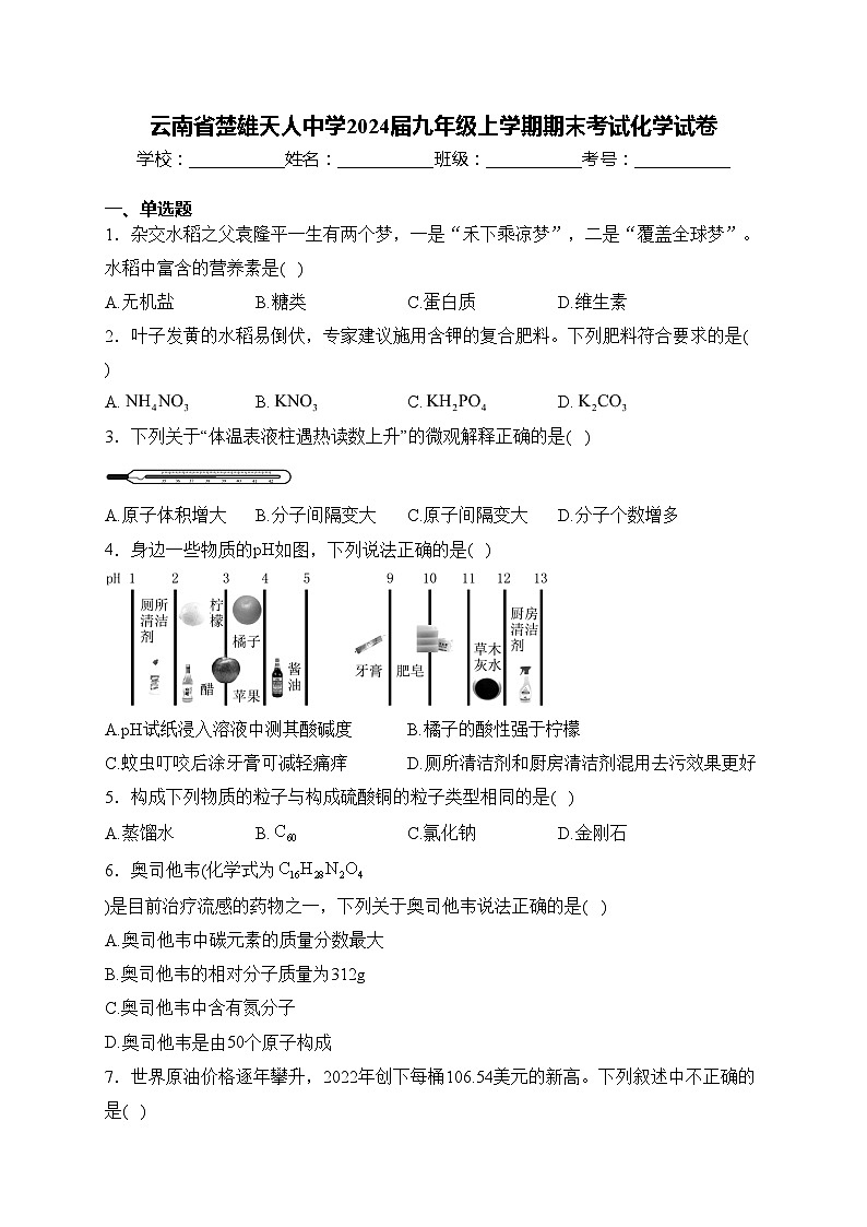 云南省楚雄天人中学2024届九年级上学期期末考试化学试卷(含答案)01