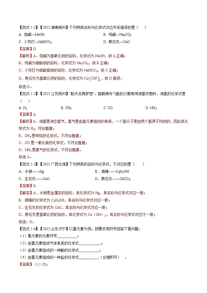 专题13 化学式与化学用语（题型精讲）-2022-2023学年中考化学一轮复习举一反三系列（解析版）第3页