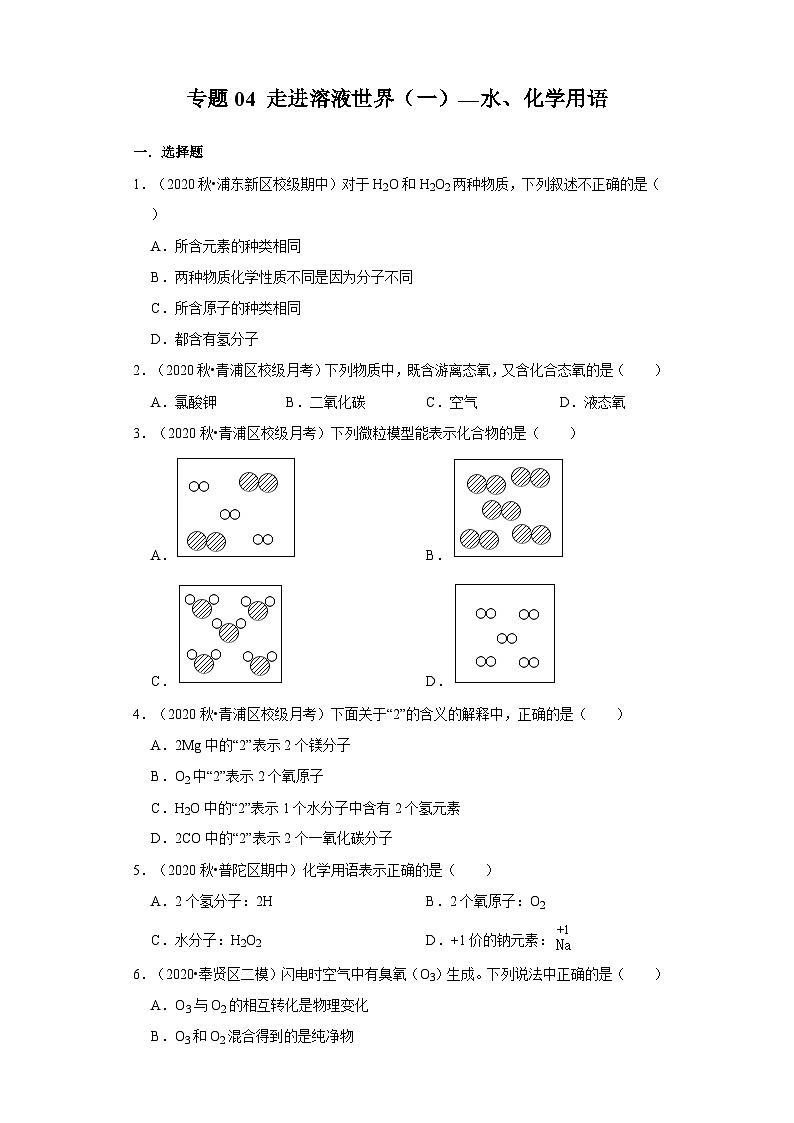 专题04 走进溶液世界（一）—水、化学用语-2020-2021学年九年级化学上学期期末必刷专题复习和模拟试卷（沪教版上海）01