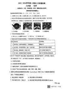 2024年广东省深圳市南山外国语学校集团中考一模化学试题