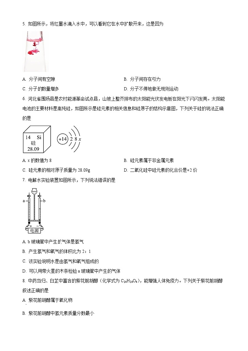 精品解析：河北省廊坊市第六中学2023-2024学年九年级下学期3月月考化学试题（原卷版）第2页