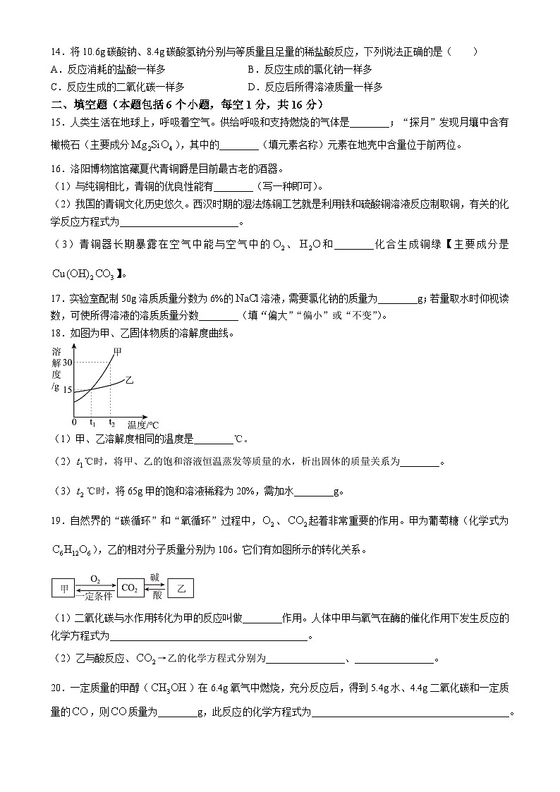 河南省洛阳市2023-2024学年九年级下学期3月份质量检测化学试卷第3页