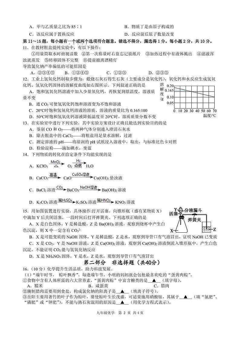 江苏省泰州市第二中学附属初中2023-2024学年九年级下学期第一次月考化学试题第2页