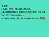 2023-2024学年九年级全一册化学人教版 第九单元　课题1　溶液的形成 课件