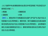 2023-2024学年九年级全一册化学人教版 实验活动4　金属的物理性质和某些化学性质 课件