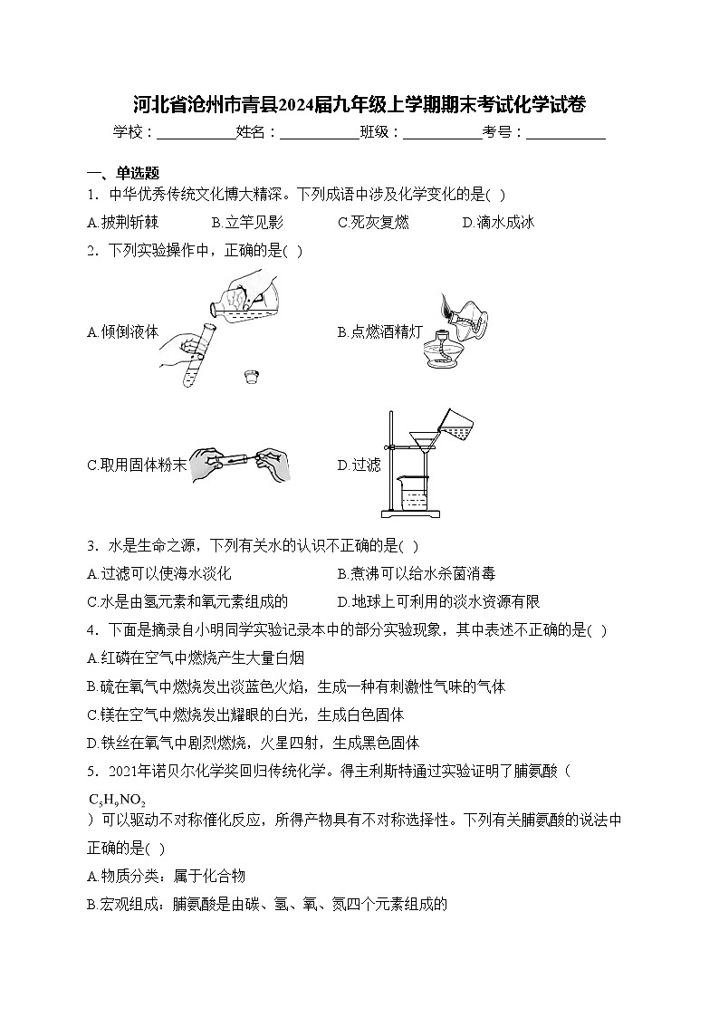河北省沧州市青县2024届九年级上学期期末考试化学试卷(含答案)第1页
