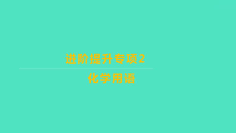 2023-2024学年九年级全一册化学人教版 进阶提升专项2　化学用语 课件第1页