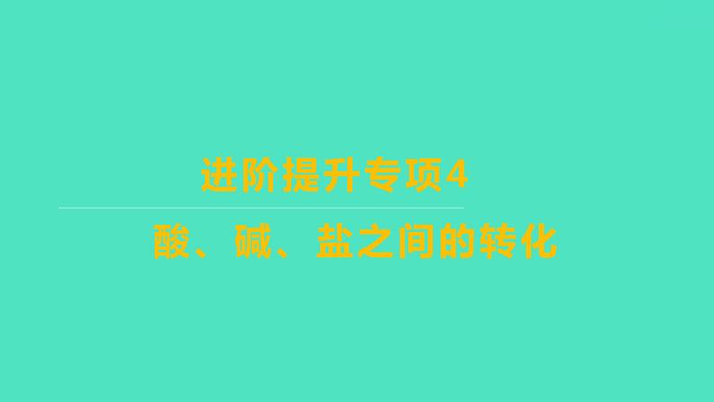 2023-2024学年九年级全一册化学人教版 进阶提升专项4　酸、碱、盐之间的转化 课件01