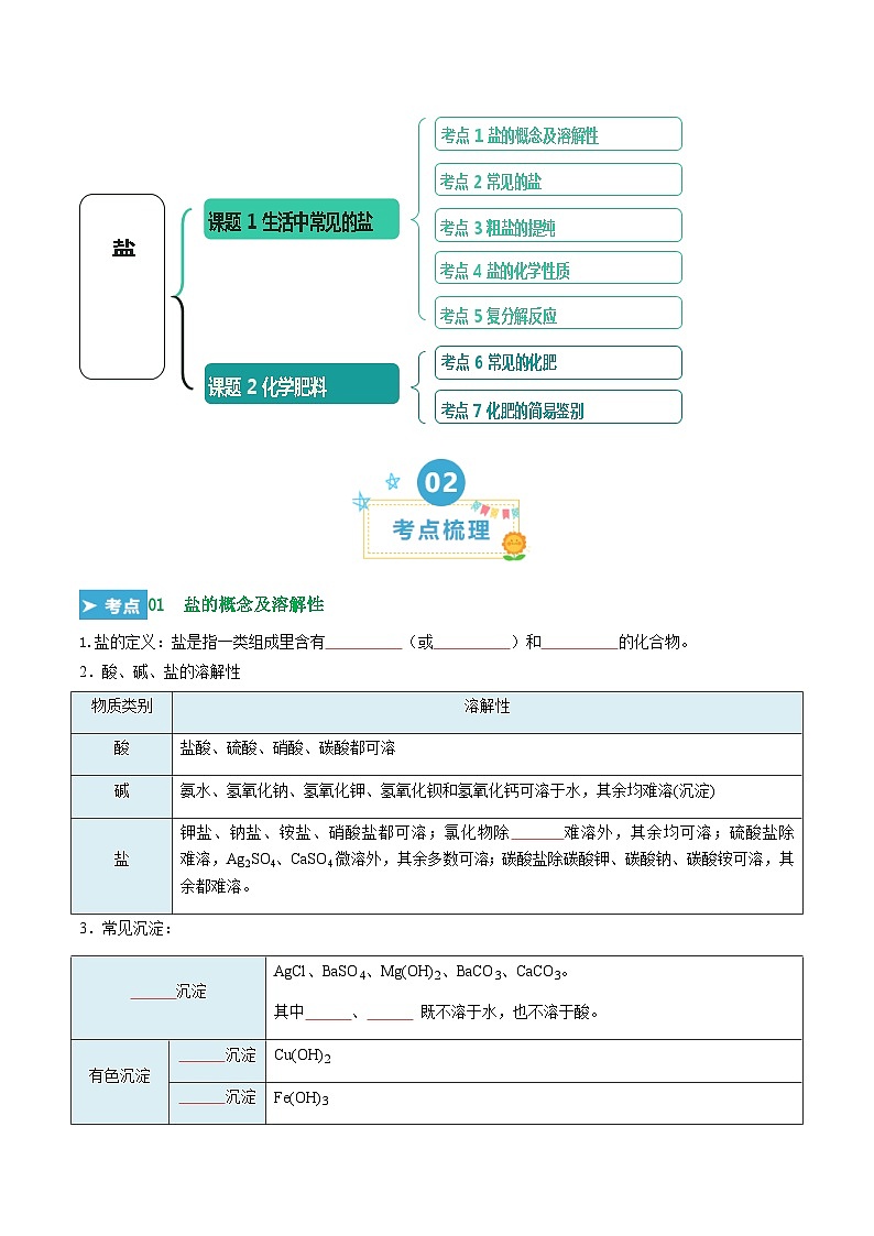 第十一单元 盐  化肥（考点清单）（讲+练）（原卷版）第2页