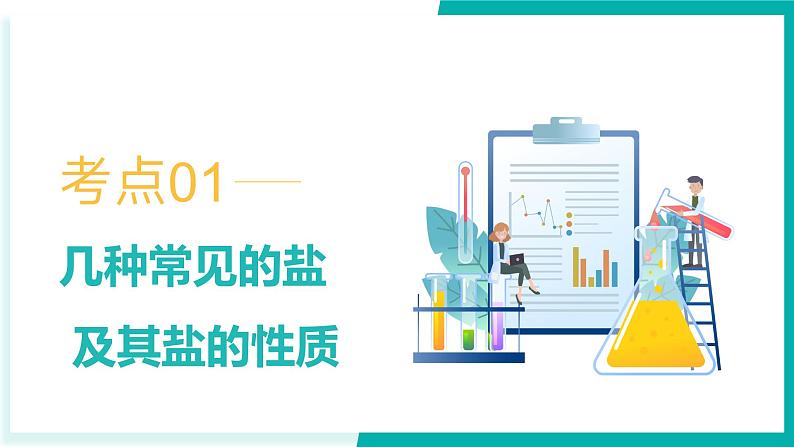 第11单元 盐   化肥【考点串讲PPT】-2024年 中考化学考点大串讲（人教版）06