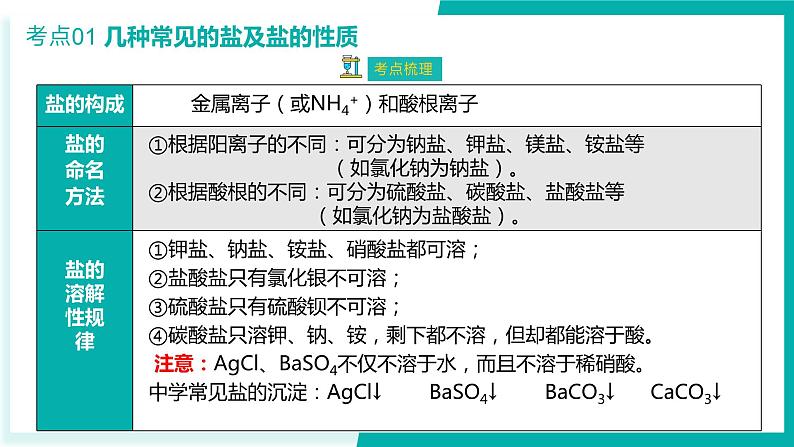 第11单元 盐   化肥【考点串讲PPT】-2024年 中考化学考点大串讲（人教版）08