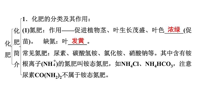 2024年广东省中考化学一轮知识点梳理复习课时20常见的盐(二)——化肥课件PPT第5页