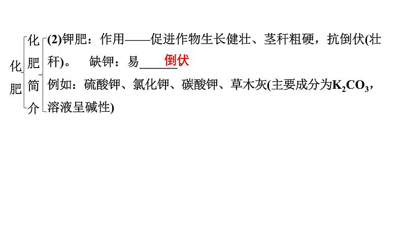 2024年广东省中考化学一轮知识点梳理复习课时20常见的盐(二)——化肥课件PPT第6页