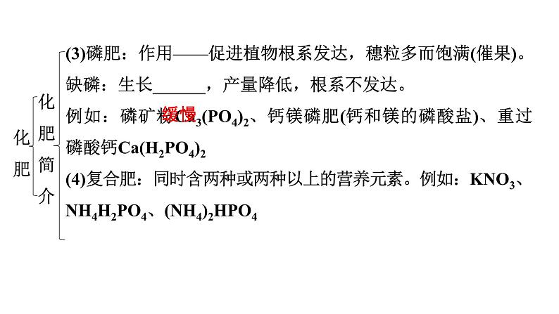 2024年广东省中考化学一轮知识点梳理复习课时20常见的盐(二)——化肥课件PPT第7页