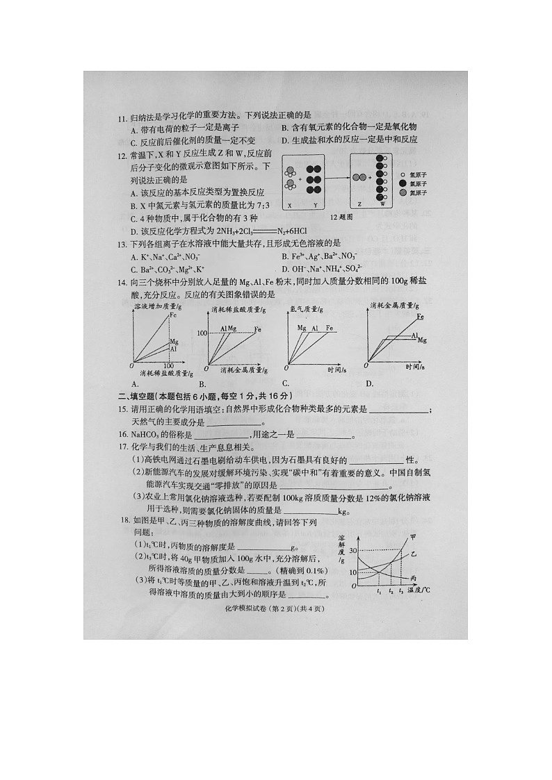 2024年河南省周口市鹿邑县中考一模化学试卷第2页