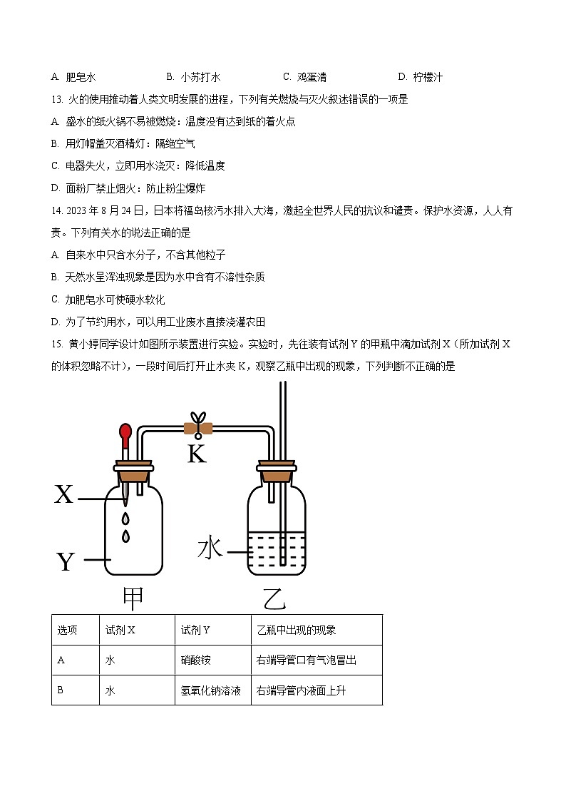 云南省昭通市巧家县2023-2024学年九年级下学期4月月考化学试题（原卷版+解析版）03