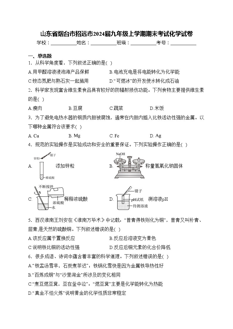 山东省烟台市招远市2024届九年级上学期期末考试化学试卷(含答案)第1页