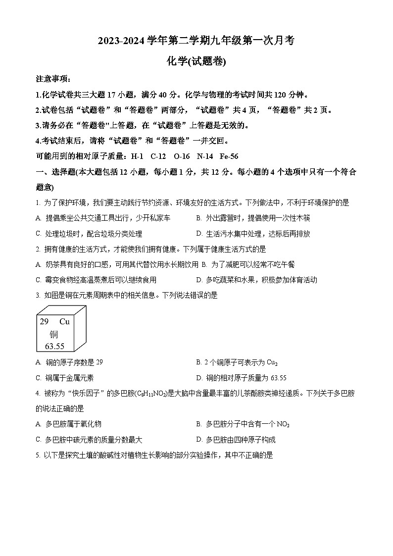 安徽省芜湖市无为市部分学校2023-2024学年九年级下学期3月月考化学试题（原卷版）第1页