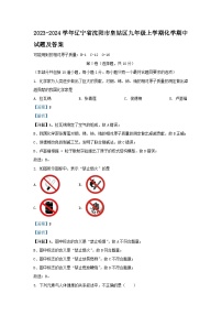 2023-2024学年辽宁省沈阳市皇姑区九年级上学期化学期中试题及答案