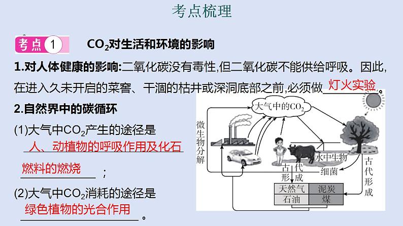 2024年中考化学二轮复习第二讲碳和碳的氧化物（2）：CO2的制取及其他  课件第2页