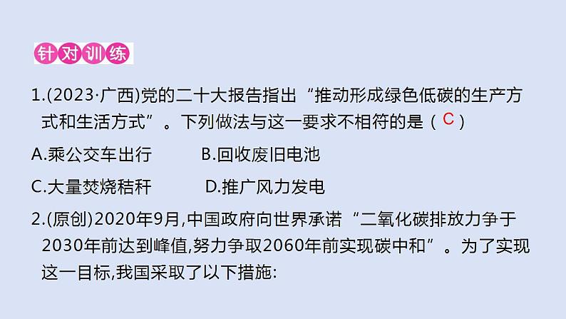 2024年中考化学二轮复习第二讲碳和碳的氧化物（2）：CO2的制取及其他  课件第5页