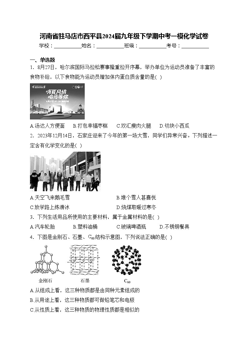 河南省驻马店市西平县2024届九年级下学期中考一模化学试卷(含答案)01