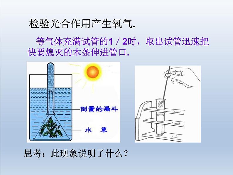 2.2《氧气》课件-九年级-化学-人教版-上册第3页