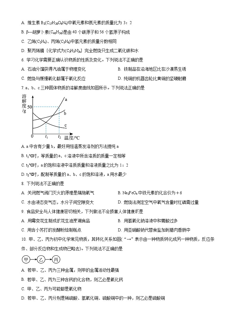 2024年江苏省徐州市沛县第五中学九年级化学中考模拟试题 （原卷版+解析版）02