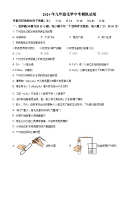 2024年江苏省徐州市铜山区柳新镇中心中学中考模拟化学试题 （原卷版+解析版）