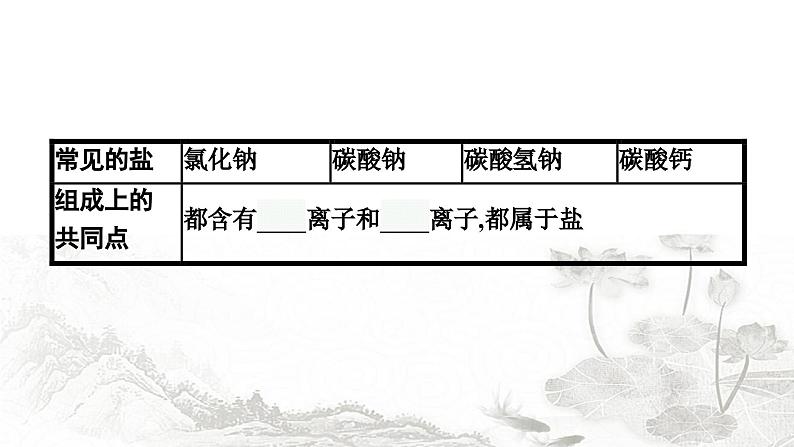 人教版化学中考复习第11单元盐化肥课件第5页