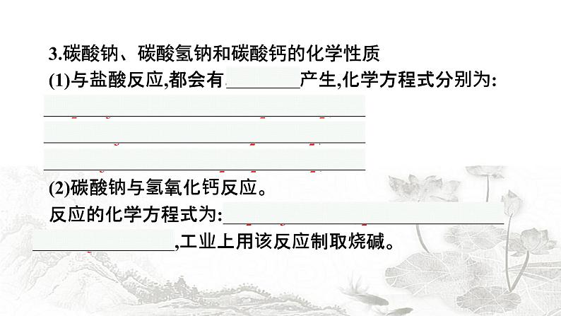 人教版化学中考复习第11单元盐化肥课件第7页