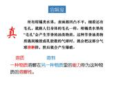 1.3 物质的溶解性课件-九年级全一册化学鲁教版（五四学制）