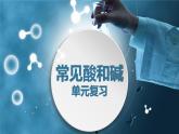 第二單元常見的酸和堿復(fù)習(xí)課件---2023--2024學(xué)年九年級化學(xué)魯教版（五四學(xué)制）全一冊
