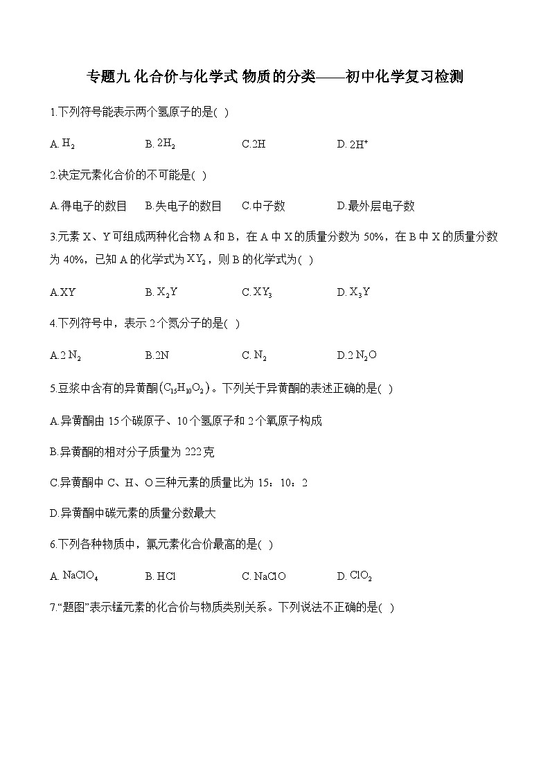 专题九 化合价与化学式 物质的分类——初中化学复习检测第1页