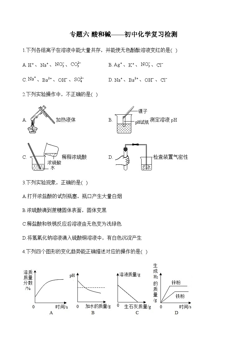 专题六 酸和碱——初中化学复习检测第1页