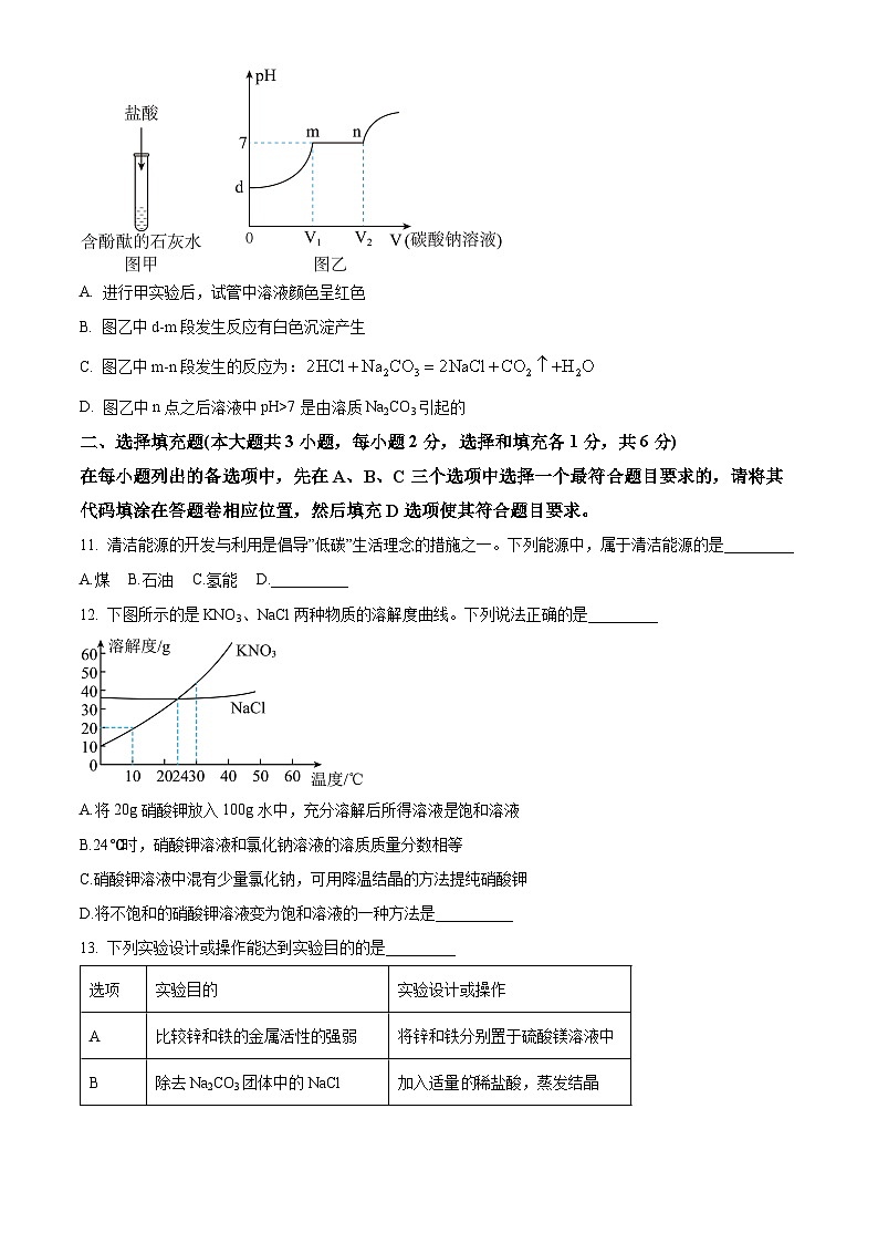 2024年江西省赣州市大余县部分学校第二次中考模拟联考化学试题（原卷版）第3页