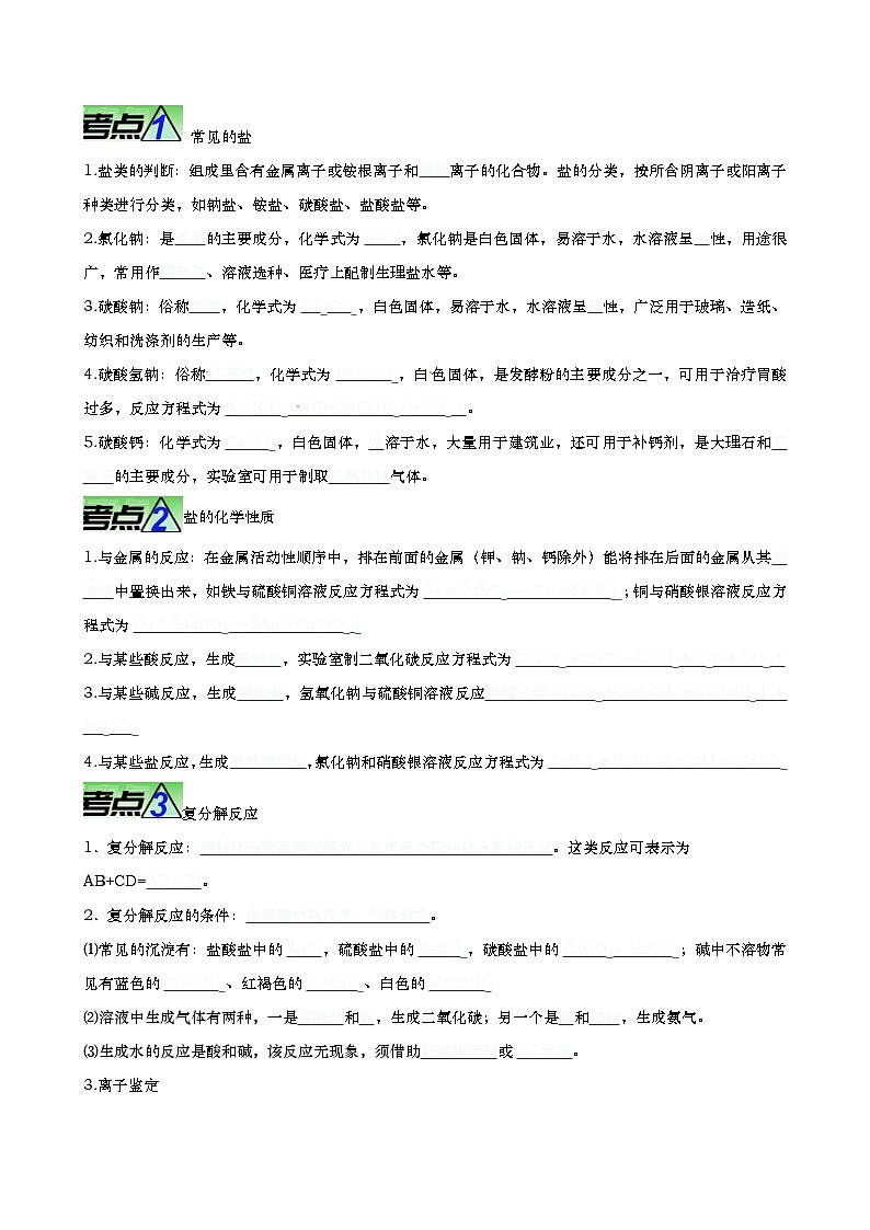 最新中考化学【热点·重点·难点】专练  重难点10 盐和化肥 （全国通用）02