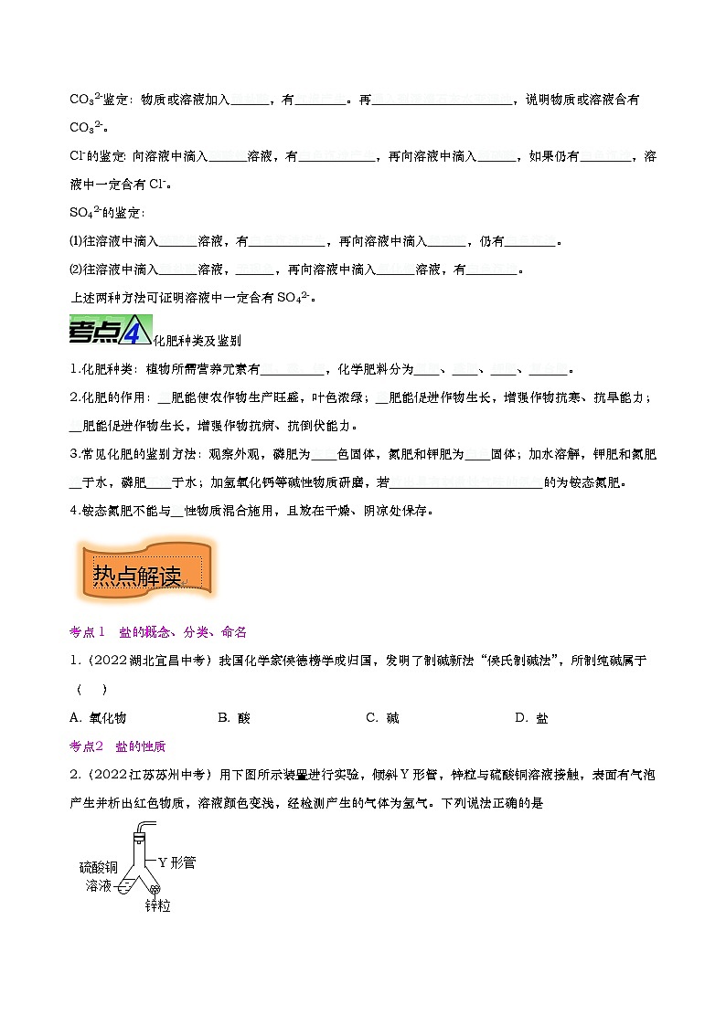 最新中考化学【热点·重点·难点】专练  重难点10 盐和化肥 （全国通用）03