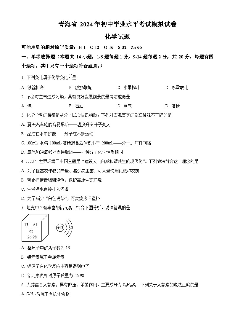 2024年青海省九年级中考一模化学试题（原卷版+解析版）01