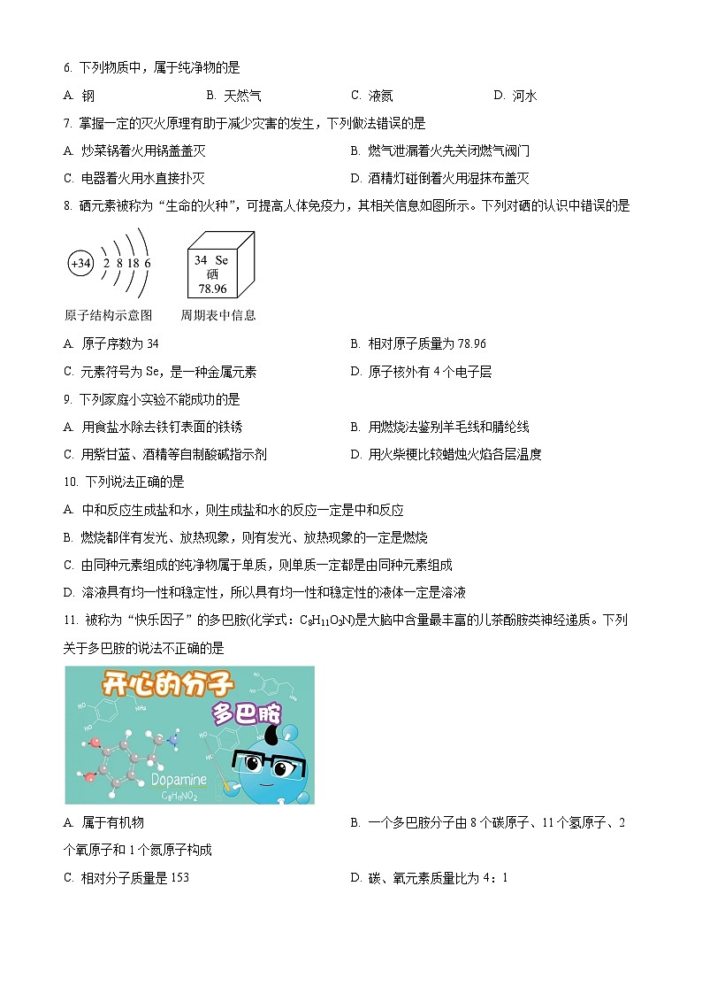 江苏省南京市建邺区金陵中学河西分校2023-2024学年九年级下学期4月月考化学试卷（原卷版）第2页