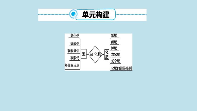 第十一单元 盐 化肥课件（第一课时) 2023-2024学年九年级上册人教版化学04