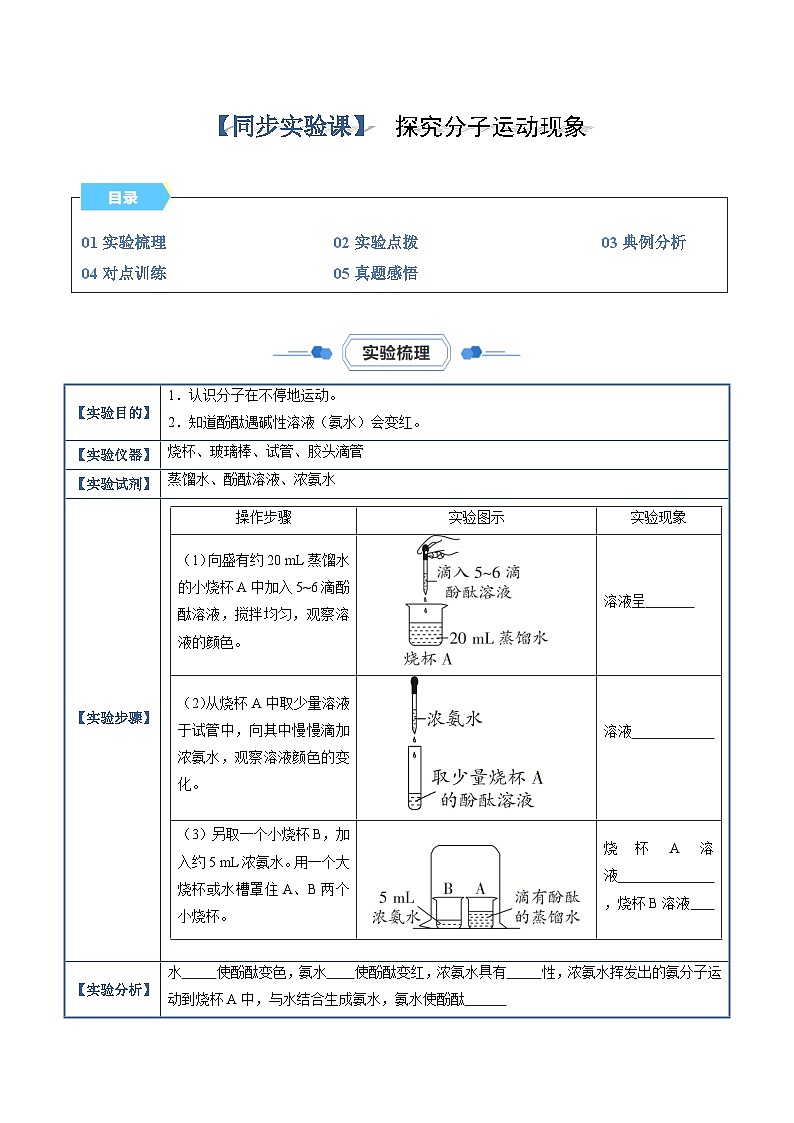 实验03 探究分子运动现象（原卷版）第1页