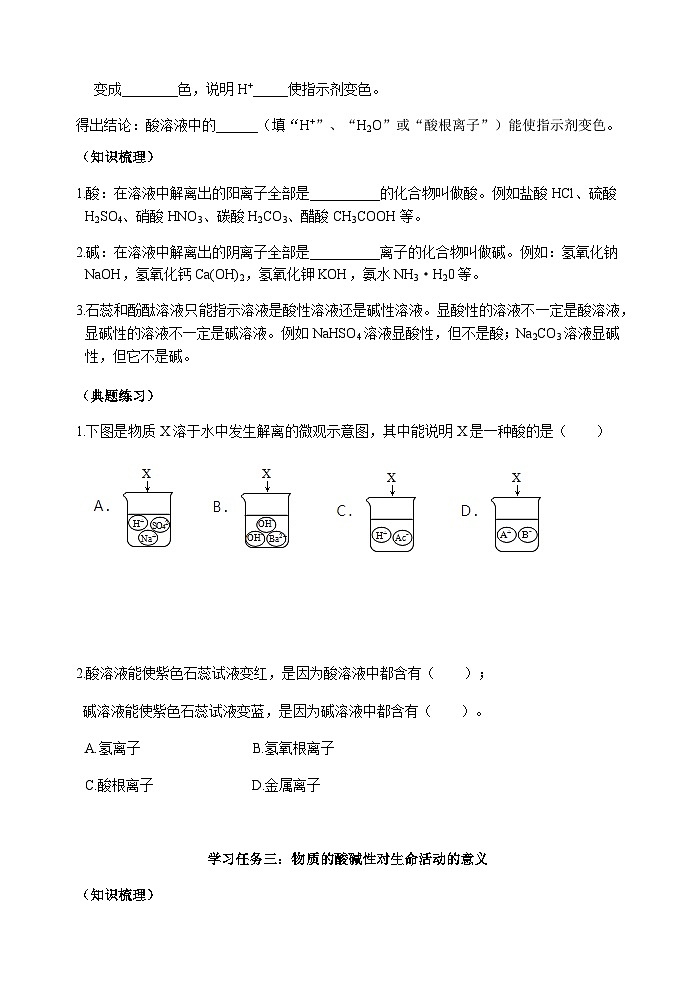 10.4溶液酸碱性的检验（学案）初中化学人教版九年级下册 (2)03