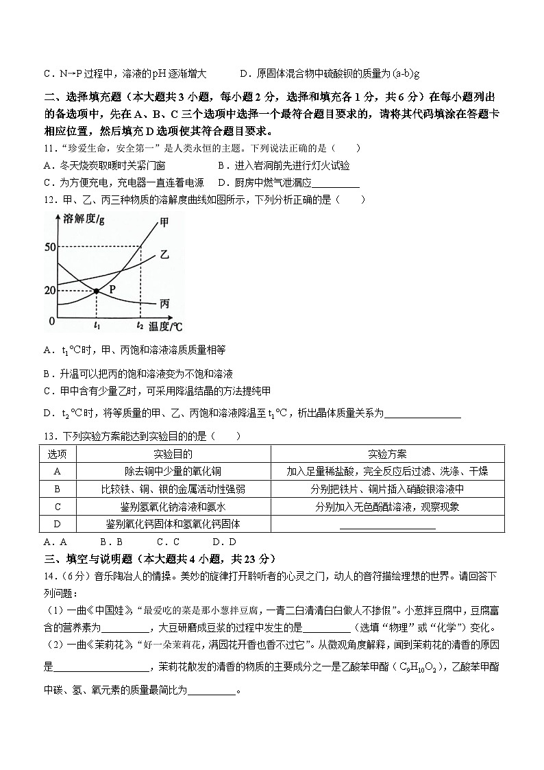 2024年江西省吉安市吉安县城北中学二模化学试题03